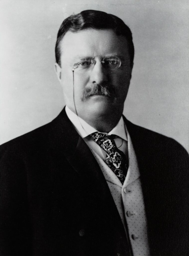 Theodore Roosevelt Leadership