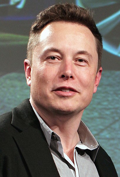 Elon Musk Leadership