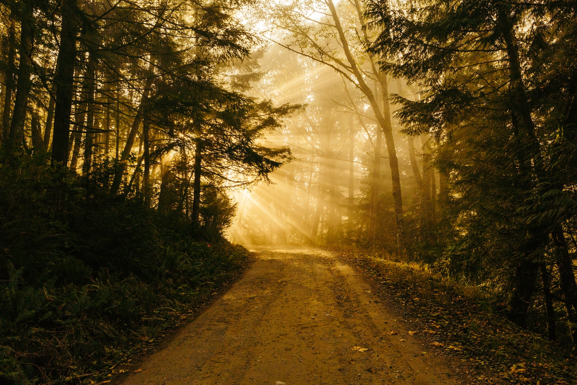 Embracing Imperfection: The Path to Progress