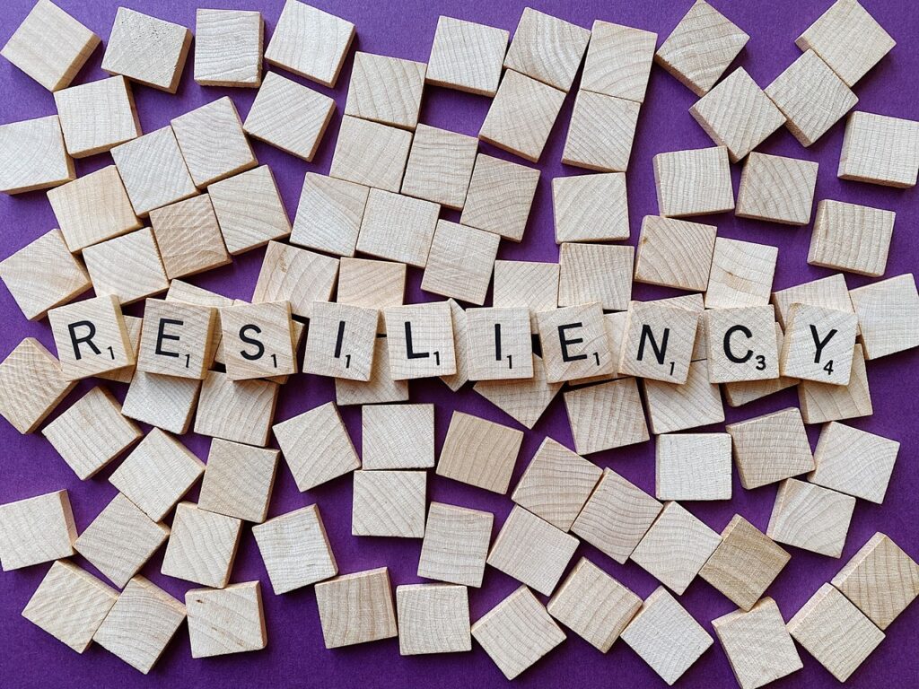 Resilience for High Performance Leadership