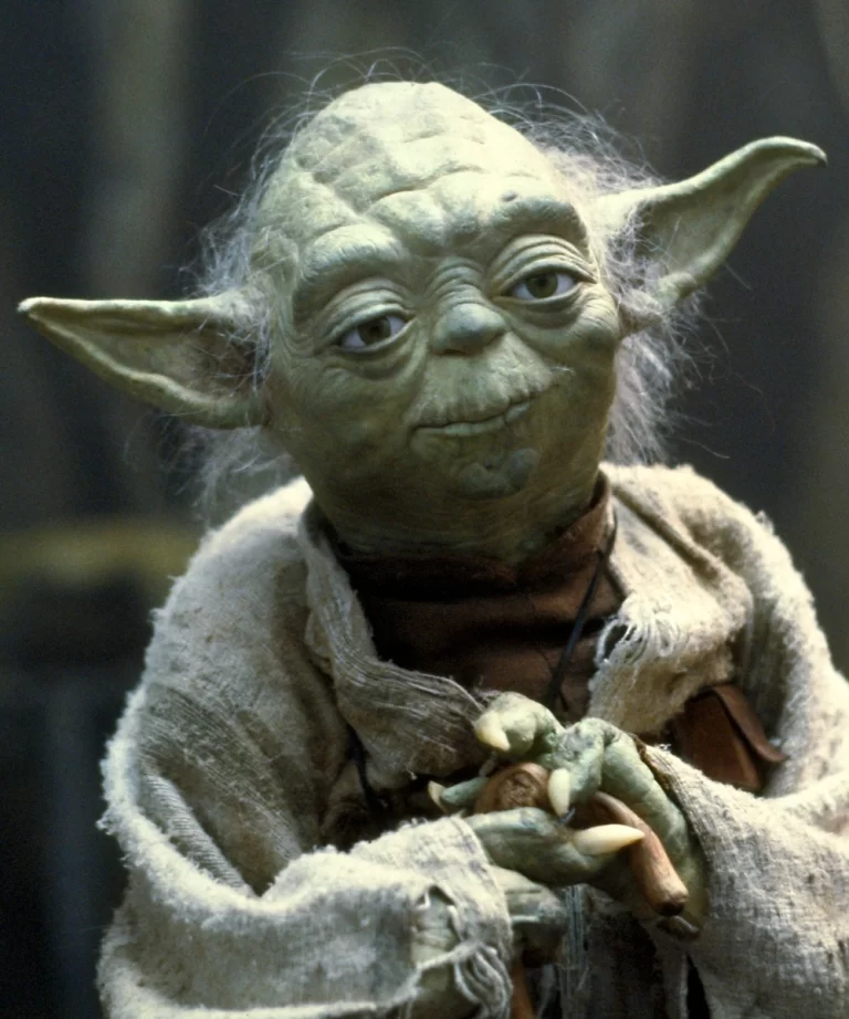 Leadership Lessons from Yoda: Unleashing the Force Within
