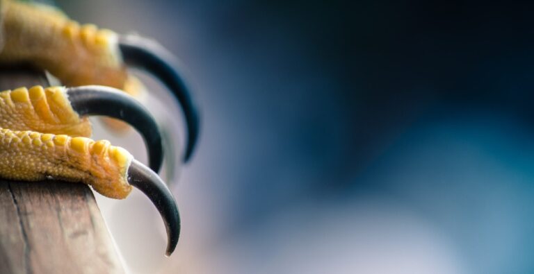 Key to Effective Leadership