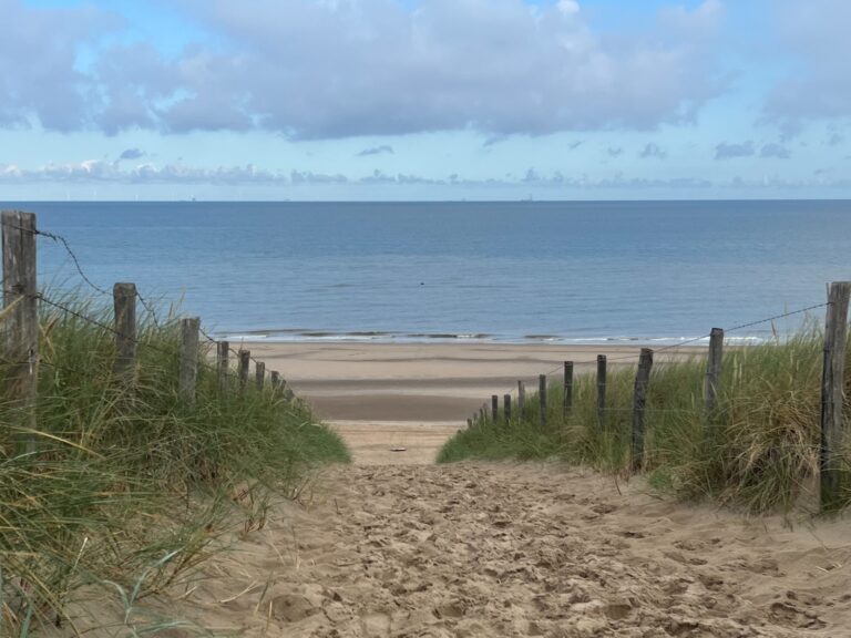 Why Leadership is Important