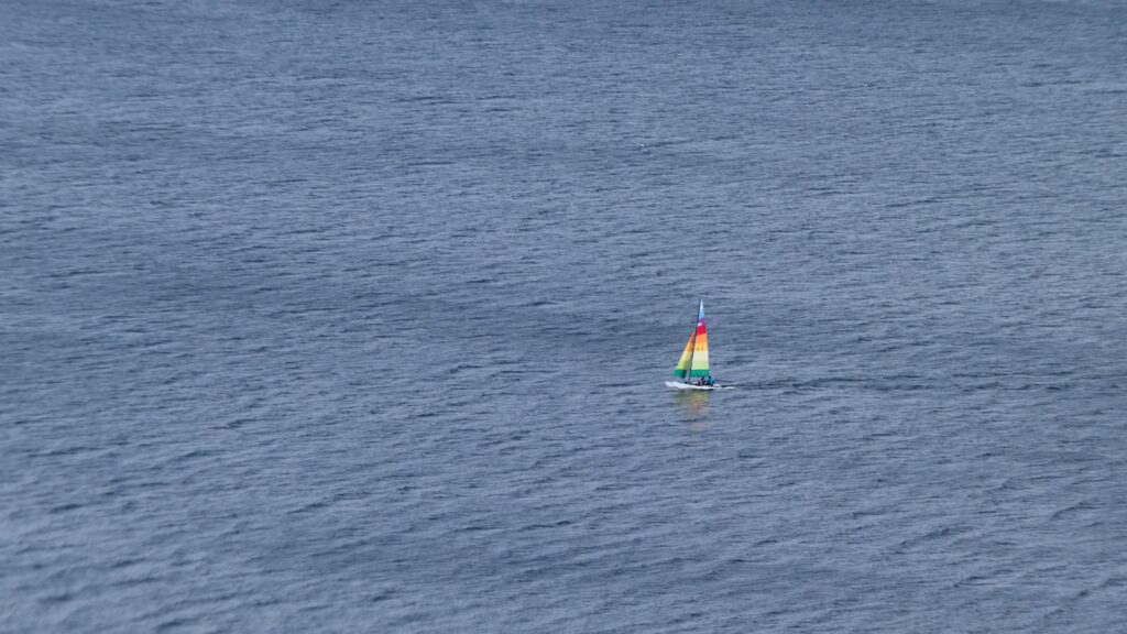 Leadership Vulnerability