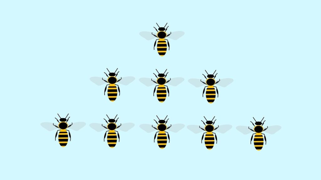 Leadership Principles